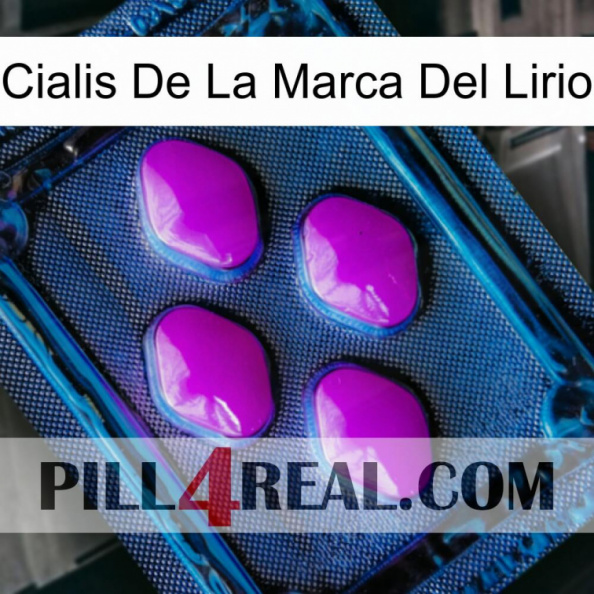 Lily Brand Cialis 04.jpg